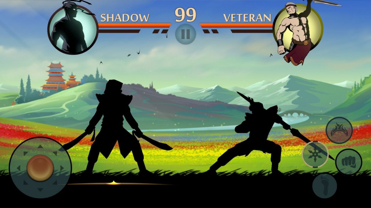 shadow fight