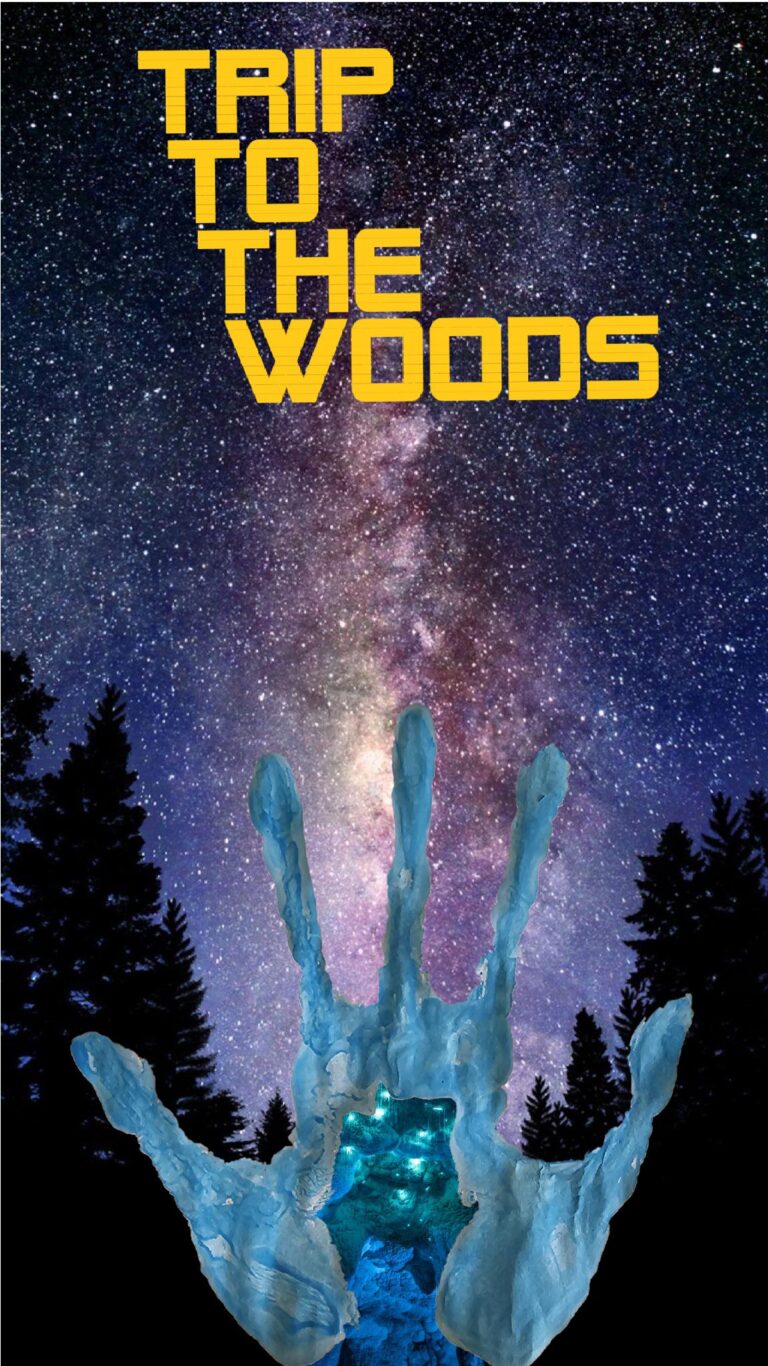 Trip to the Woods (2025) - گیمفا: اخبار، نقد و بررسی بازی، سینما، فیلم و سریال