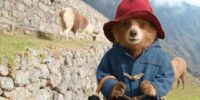 فیلم paddington in peru