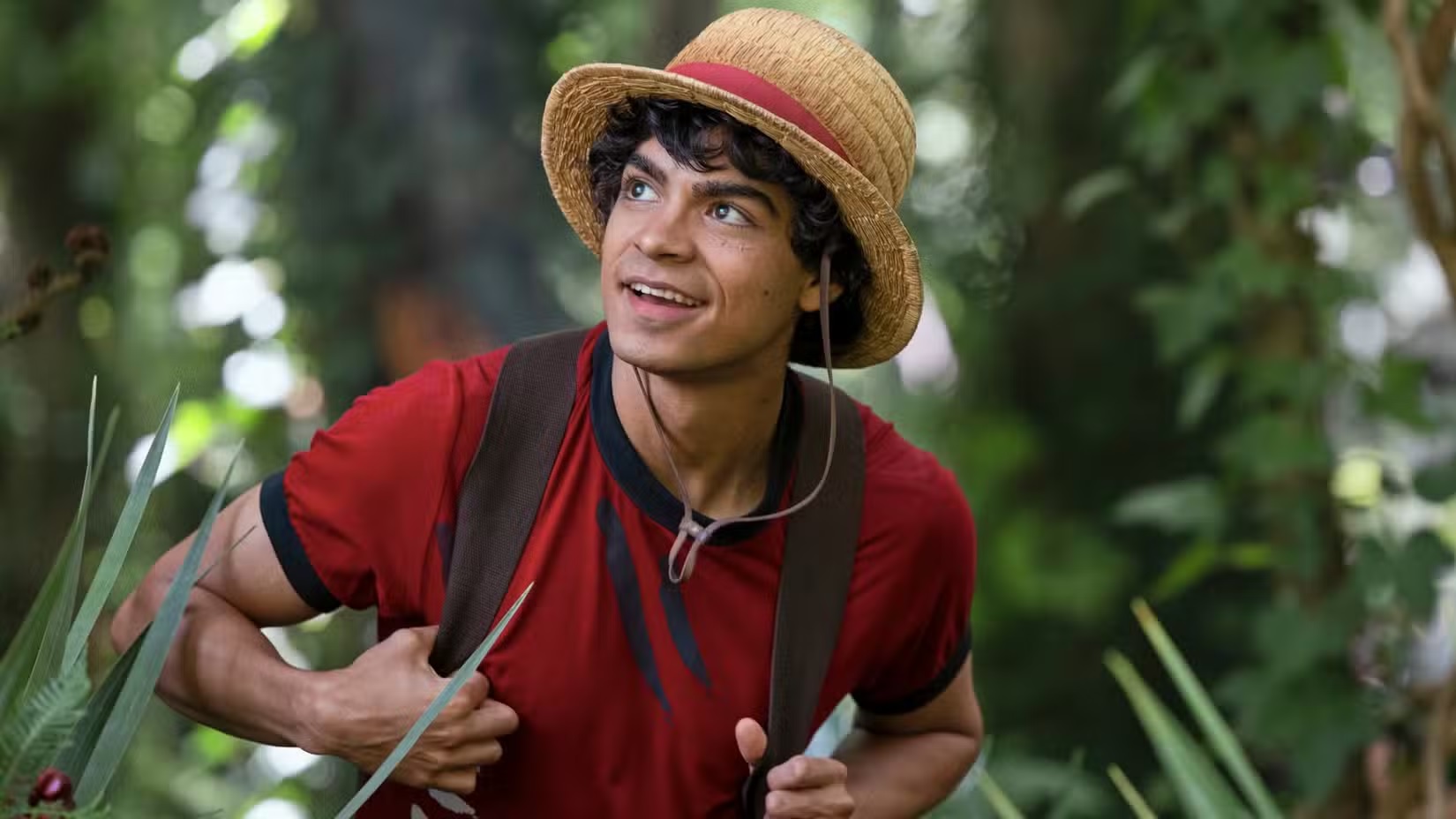 How Much Manga Does One Piece Seasons 2 and 3 Have To Adapt