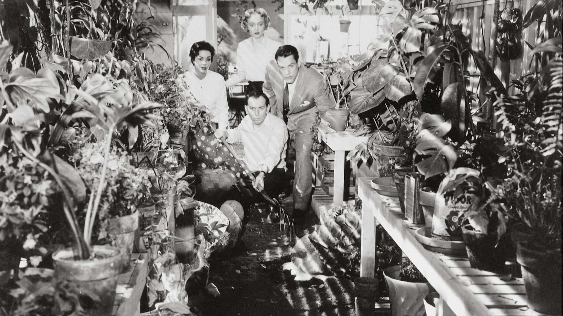 ۱۰ فیلمی که الهام‌بخش وینس گیلیگان برای سریال Pluribus بودند - گیمفا