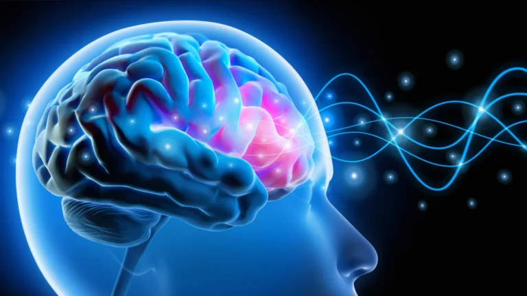 ایجاد یک تغییر در مغز می‌تواند حافظه را بیش از ۲۰۰ درصد تقویت کند