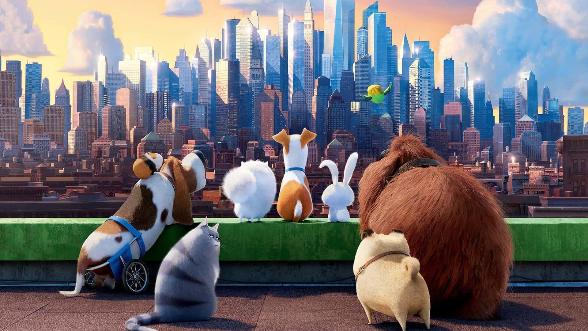 انیمیشن The Secret Life of Pets 3 در دست ساخت قرار دارد | موبوگیم