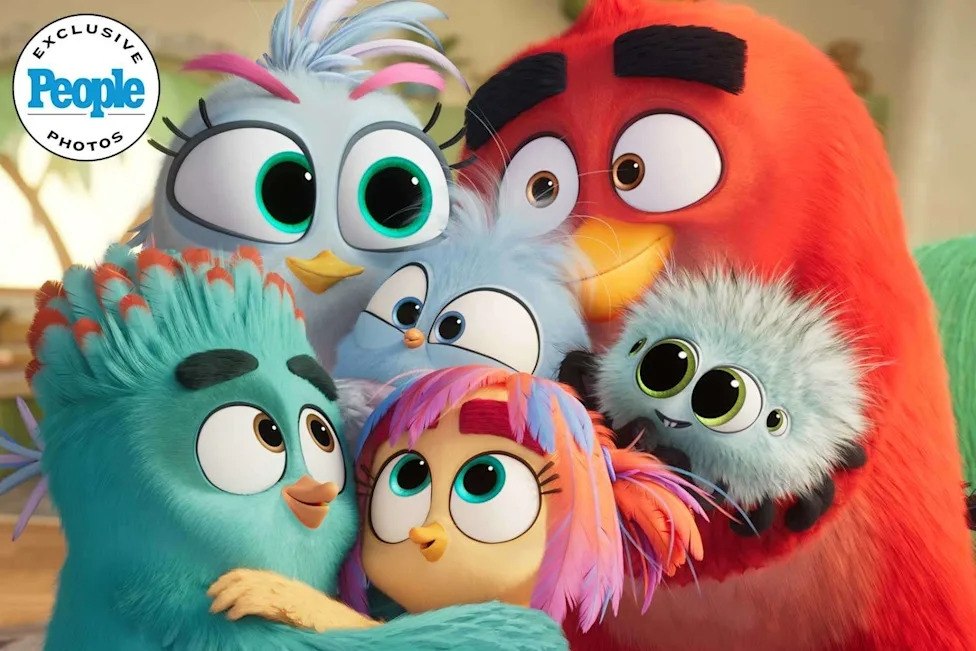 Colorful Group of Fluffy Cartoon Birds Cuddling Together with Big Round Eyes and Bright Feathers