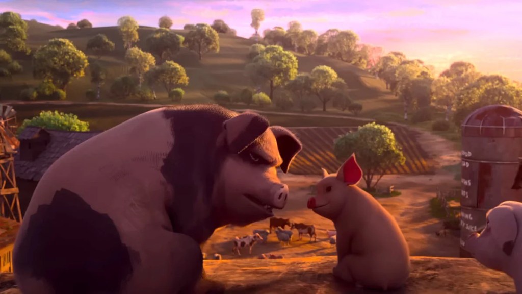 Large Black and white Pig Talks to a Small Pink Piglet on a Farm at Sunset
