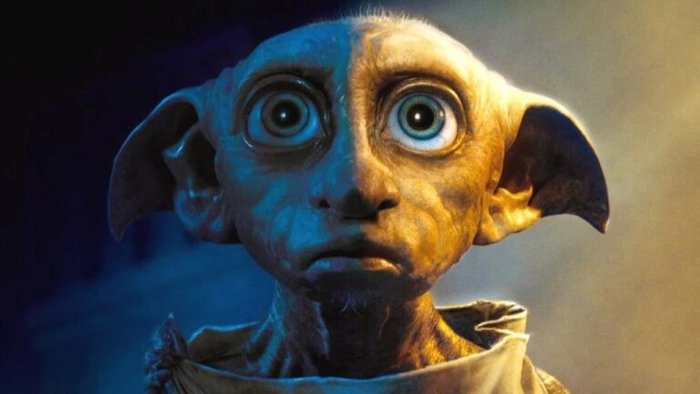 طرفداران Harry Potter   قبر دابی را از خطر نابودی نجات دادند