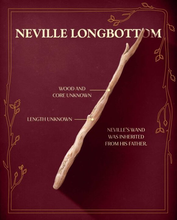 تصاویر جدید چوب دستیهای سریال Harry Potter منتشر شد | موبوگیم 1 455dd6ed 3f0c 4817 833c b48f154916eb