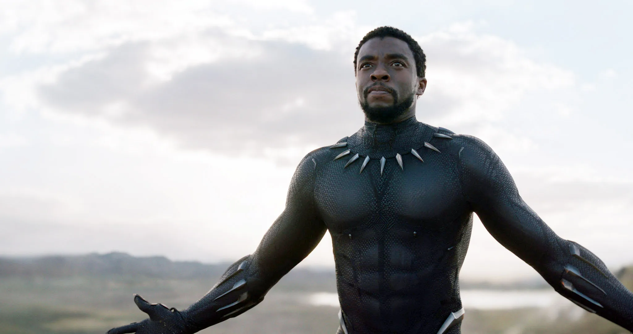 پرفروشترین فیلمهای ابرقهرمانی | موبوگیم 4 brody passionate politics black panther