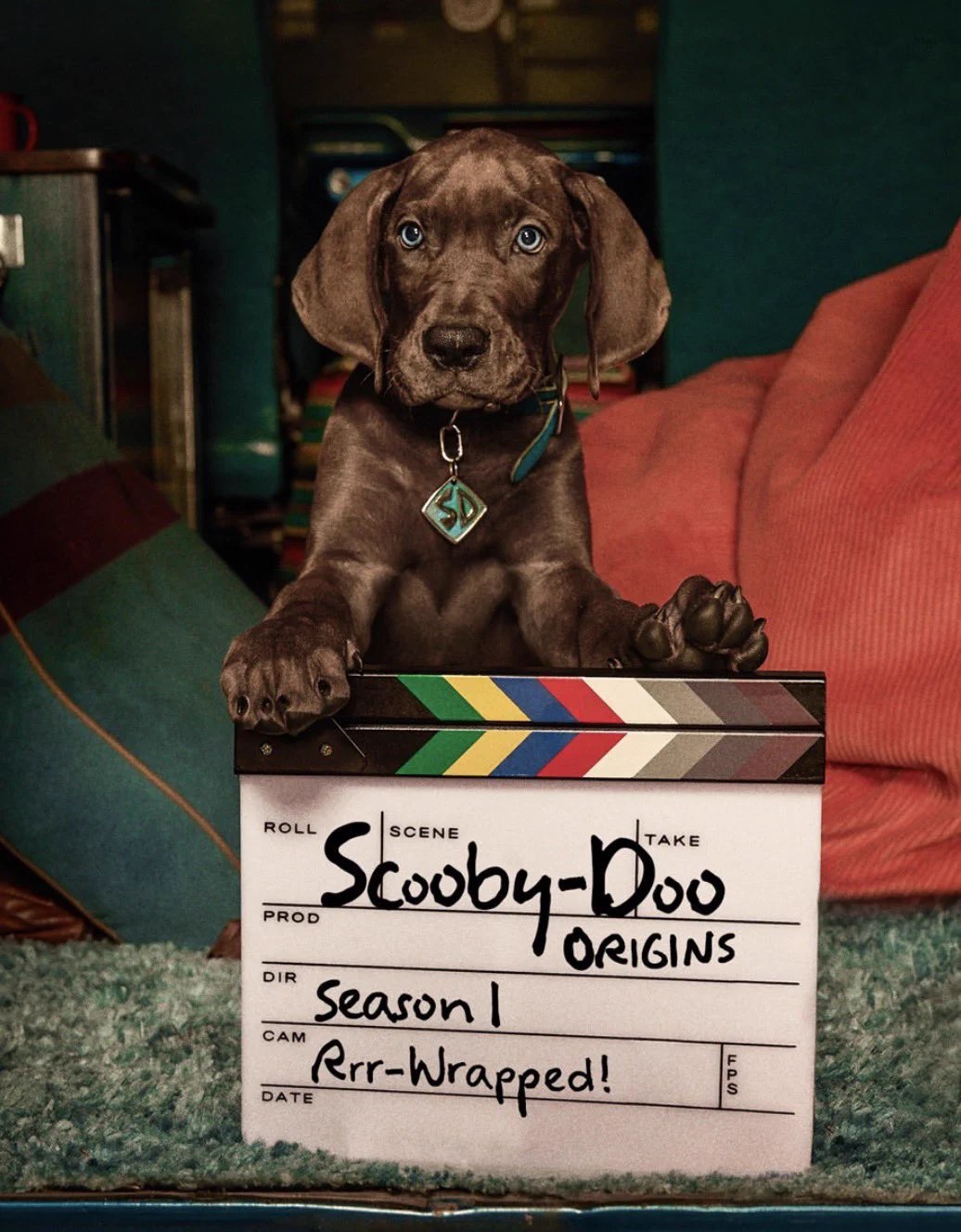 Photo 2026 09 13 19 43 35 تصویر جدیدی از لایو-اکشن Scooby-Doo: Origins نتفلیکس منتشر شد | موبوگیم