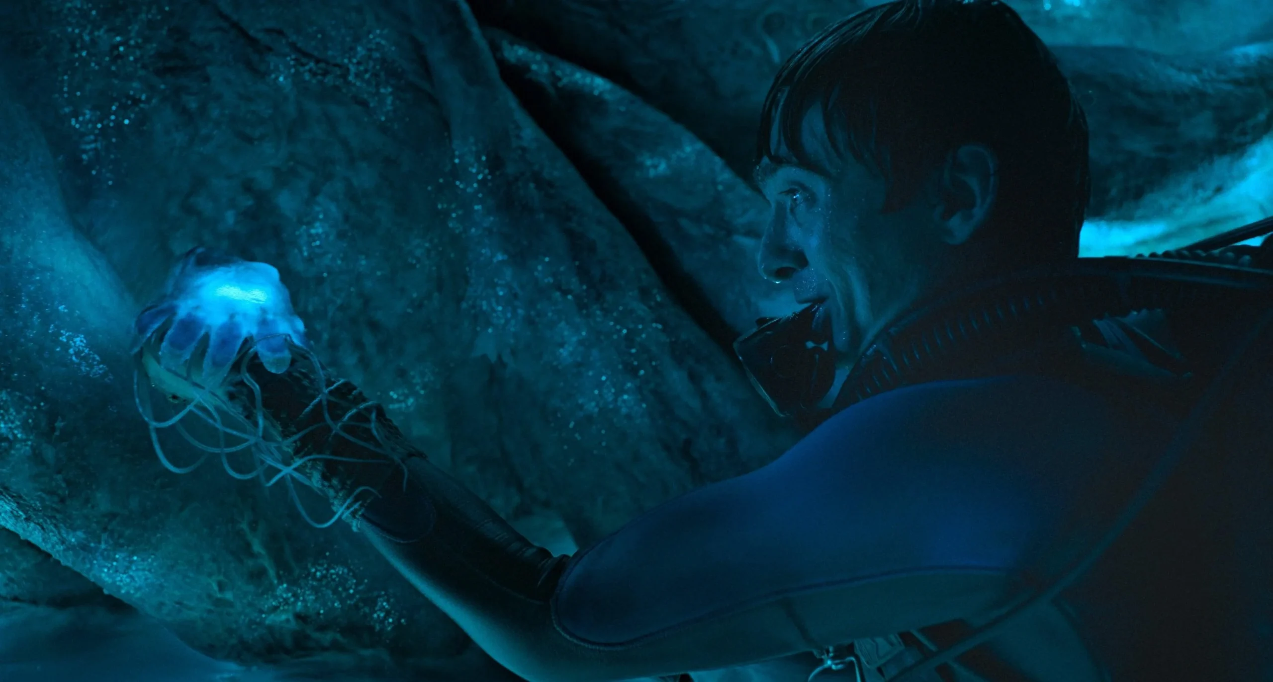 Qualle pottwal whalefall biolumineszenz 15 فیلم Whalefall