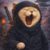 The Ninja Cat