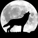 تصویر پروفایل alone wolf