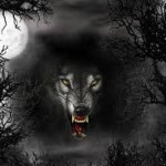 تصویر پروفایل Black Wolf